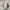 The North Face Gorpcore Pria cream photo 2