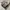 The North Face Gorpcore Pria cream photo 6