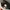 Asics Kinsei Max photo 5