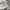 Vintage Polo Ralph Lauren Polo Shirt photo 3