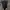 bodyswit photo 1