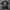 Polo shirt Philips delon photo 5