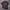 Polo shirt Philips delon photo 1