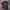 Polo Shirt Philips Delon