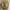 Nike Streetwear Sportswear Sneakers Pria brown photo 4