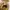 Nike Streetwear Sportswear Sneakers Pria brown photo 3