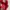 New Balance Streetwear Casual Sneakers Pria red photo 3