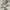 Y2K Lolita Heels Wanita cream photo 2