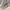 Y2K Lolita Heels Wanita cream photo 1