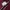 Lacoste Vintage Luxury Sweater Pria burgundy photo 6