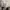 Converse Chuck taylor all star high 136811C photo 7