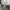 Converse Chuck taylor all star low ( 102329 ) photo 8