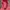 Stussy Streetwear Hoody Pria pink photo 5