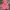 Stussy Streetwear Hoody Pria pink photo 1
