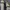 Converse Chuck Taylor All Star low black white  photo 6