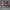 Vans Skateboarding Authentic photo 4