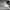 Vans California mid moccasin (pig skin) photo 1