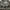 Formal shirt Pria tan gray photo 3