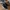 Puma Bari Court Black White Casual Original photo 3