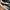 Puma Bari Court Black White Casual Original photo 6