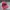 Vtg Peninggton Trucker Hat with Smooth Visor photo 2