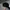 CFM Trucker Hat with USA Flag embroidery  photo 4