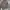 Bally Luxury Casual Leather jacket Pria brown photo 8