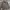 Bally Luxury Casual Leather jacket Pria brown photo 1
