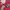 Nike ACG Sportswear Casual Fleece Wanita pink photo 3