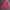 Nike ACG Sportswear Casual Fleece Wanita pink photo 4