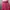 "UNIQLO" Magenta Skirt A Line | Rok Umpak" Pink GU