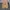 Vans style 36 decon sf checkerboard photo 5