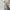 Japanese brand Streetwear Minimalist Sweater Wanita white cream photo 4