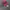 4 Wheeels Wild Realtree Camo Kids photo 1
