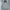 Fear Of God Luxury Hoody Pria Gray