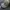 B logo Realtree Camo Twotone Washing
 photo 3