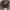 B logo Realtree Camo Twotone Washing
 photo 4