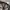 B logo Realtree Camo Twotone Washing
 photo 5
