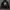 Hoodie Adidas Trefoil  photo 1