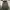 Jaket Parka Military RODEO CROWNS