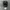 Comando Camo Army photo 6