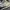 New balance 515 ML515CCE photo 6
