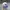 Build Up LSU Logo photo 4