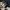Nike air Jordan yellow orce  photo 6