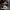 Nike air Jordan yellow orce  photo 2