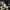 Nike air Jordan yellow orce  photo 5