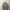 UNI*QLO U AIRism Oversize Tshirt Sand