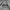 Stussy Vintage Streetwear Sweatshirt Pria black gray photo 3