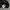 Carhartt Streetwear T-shirt Pria black photo 3