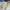 New Balance Streetwear Sportswear Sneakers Pria white green photo 2